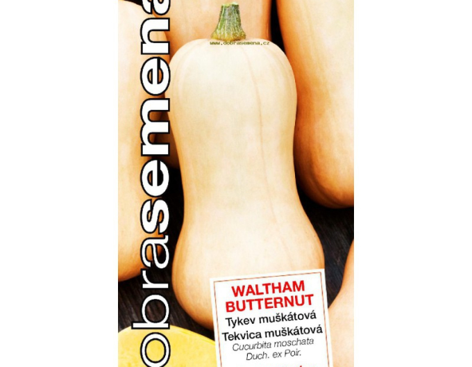 Dobrá semena Butternut Dýně Waltham