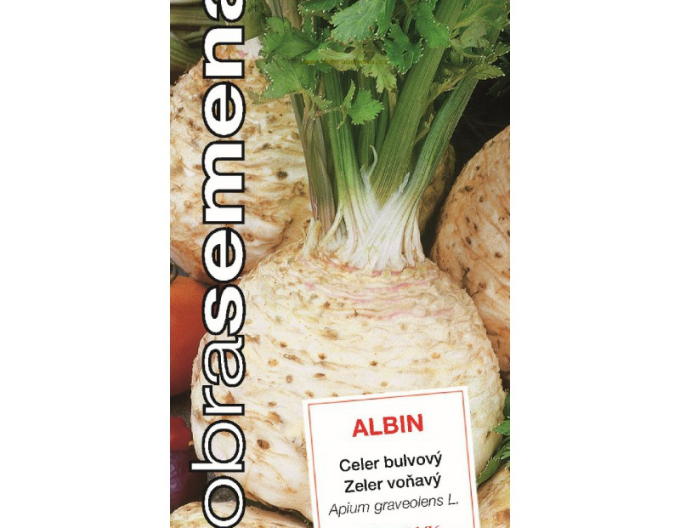 Dobrá semena Celer bulvový Albin