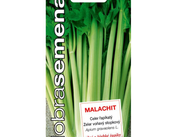 Dobrá semena Celer řapíkatý  Malachit