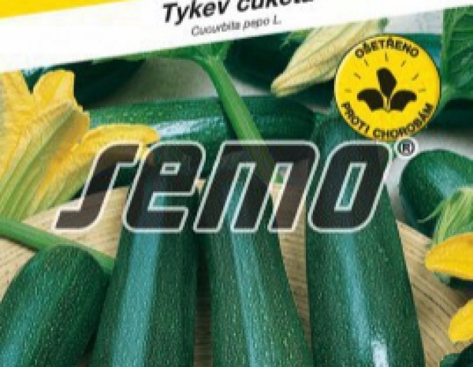 Semo Tykev cuketa Black Beauty