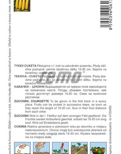 Semo Tykev cuketa Orelia F1