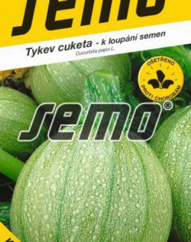 Semo Tykev cuketa Tondo Chiaro di Niza (k loupání)