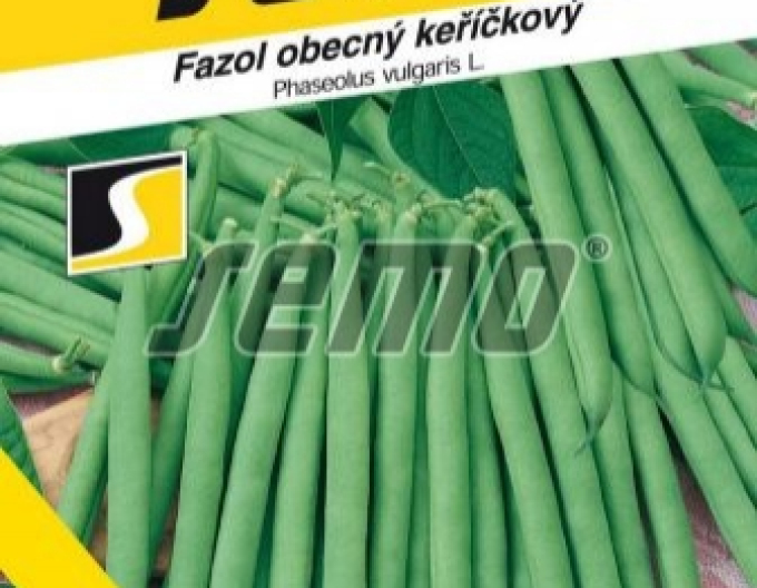 Semo Fazol obecný keříčkový Bona