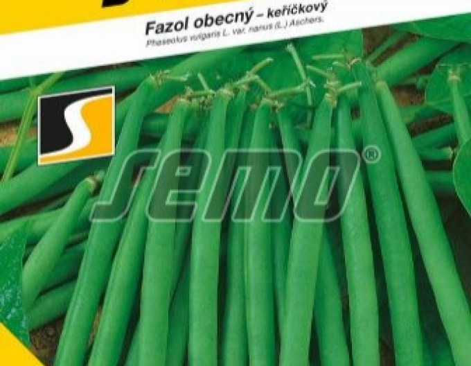 Semo Fazol obecný keříčkový  ´Gama´