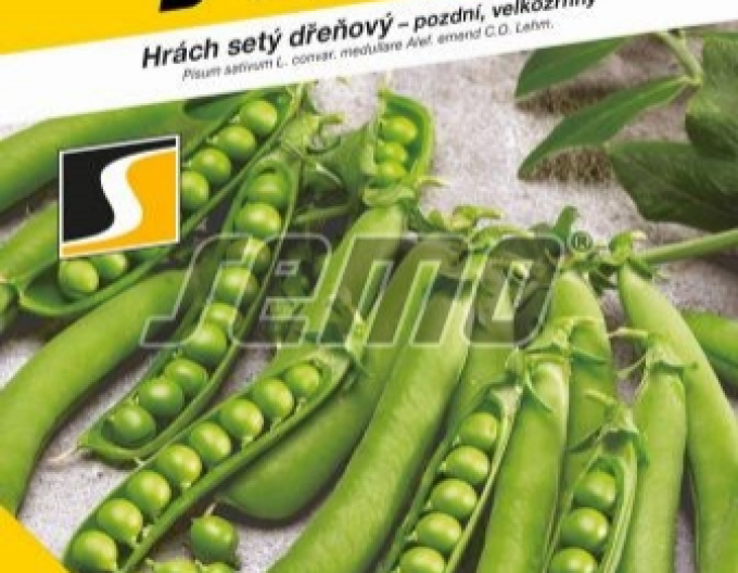 Semo Hrách setý dřeňový Cedrik 50g