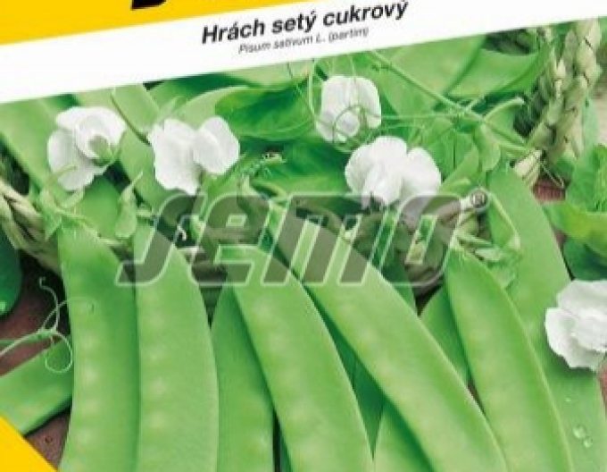 Semo Cukrový hrách ´Ambrosia´