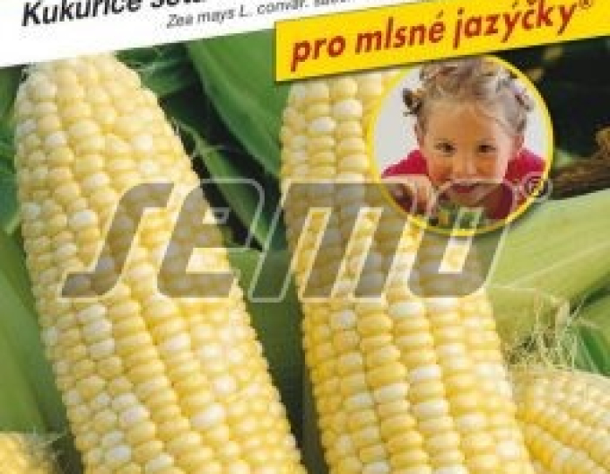 Osivo Kukuřice cukrová Ramondia F1