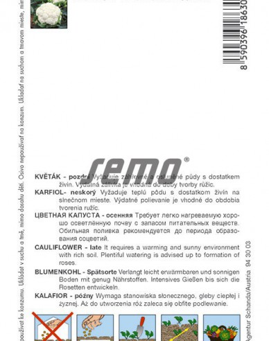 Semo Květák ´Snow Lady´