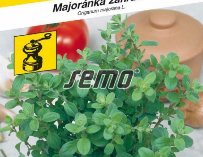 Semo Majoránka zahradní Marietta