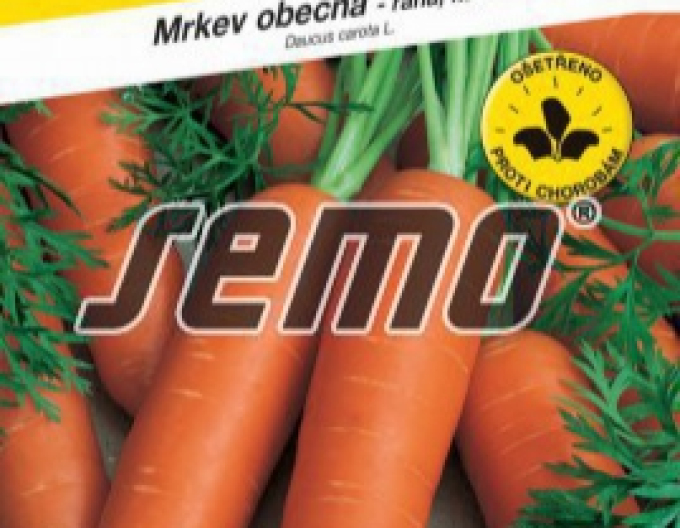 Semo Mrkev obecná Nantes 5