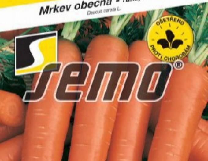 Semo mrkev Vanda