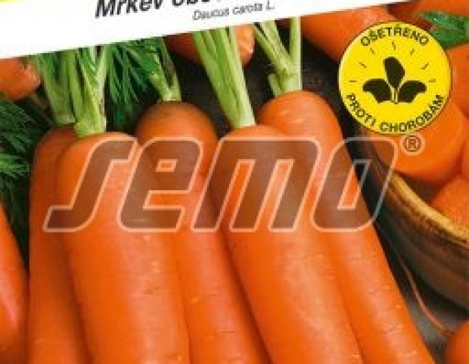 Semo Mrkev obecná Kráska