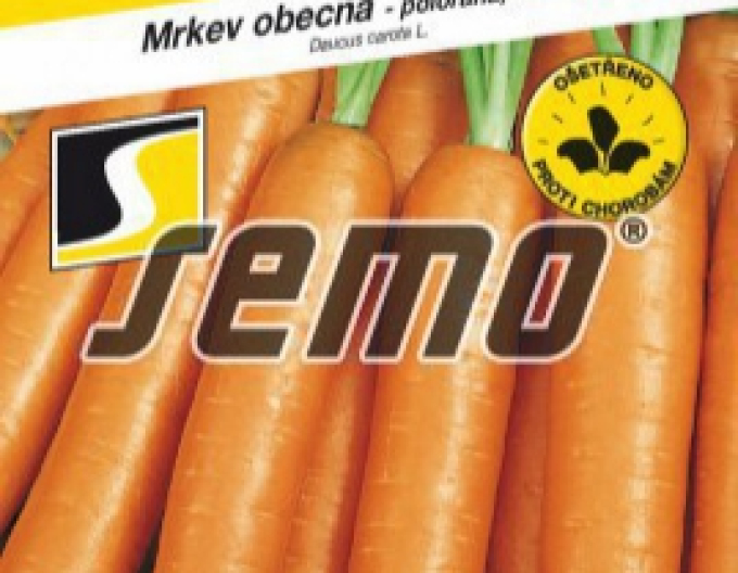 Semo Mrkev obecná ´Karotina´