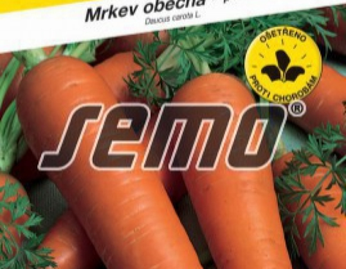 Semo Mrkev obecná Rubína