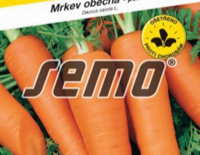 Semo Mrkev obecná Karola