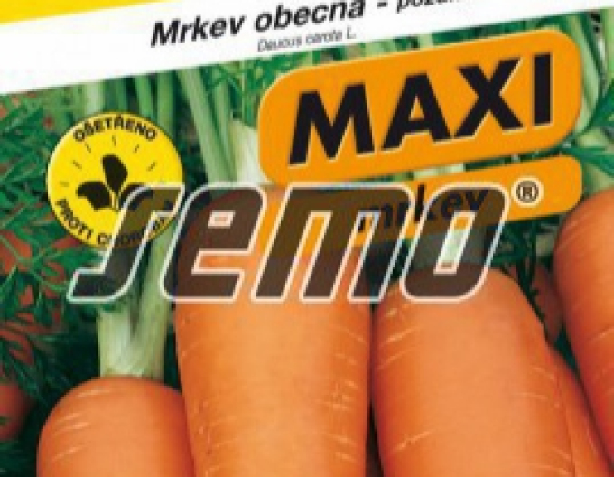 Semo Mrkev obecná ´Koloseum F1´