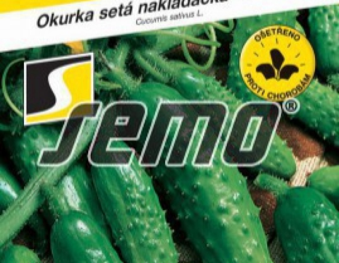 Semo Okurka setá nakládačka Blanka F1 – hruboostná