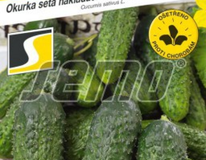 Semo Okurka setá nakládačka Anya F1 – hruboostná