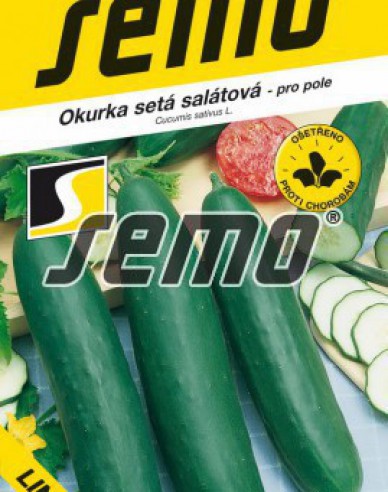 Semo Okurka salátová Linda F1 Mix