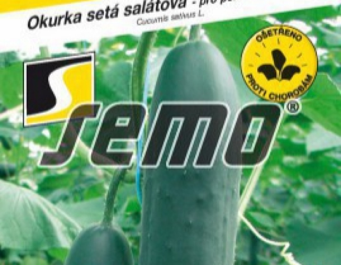 Semo Okurka setá salátová Markyza F1
