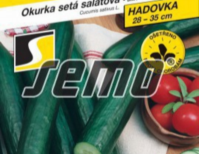 Semo Okurka setá salátová hadovka Tribute F1