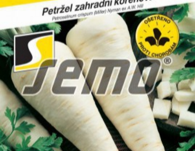 Semo Petržel zahradní - kořenový ´Hanácká´