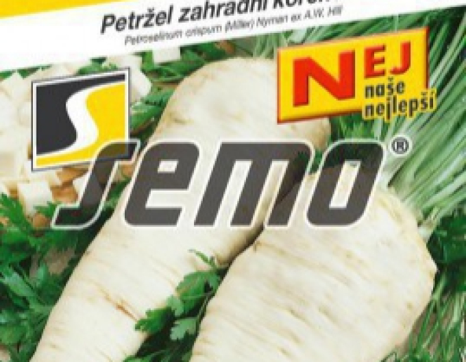 Semo Petržel zahradní - kořenový ´Orbis´