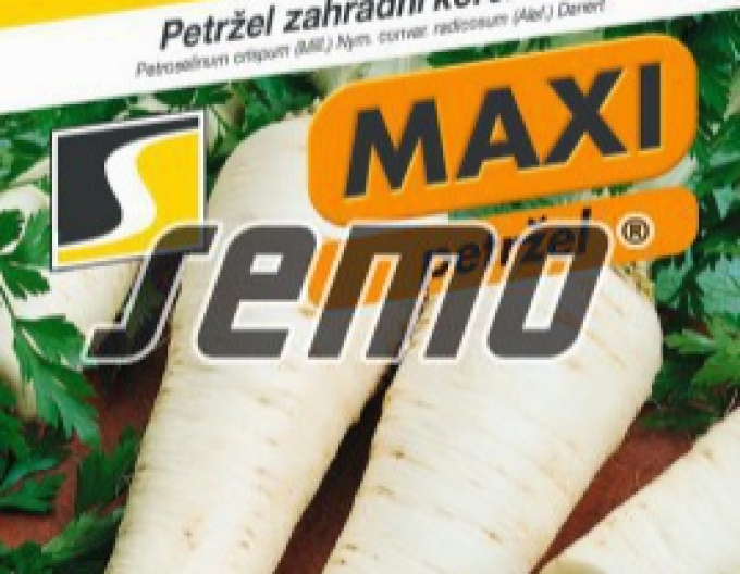 Semo Petržel zahradní kořenová  ´Atika´