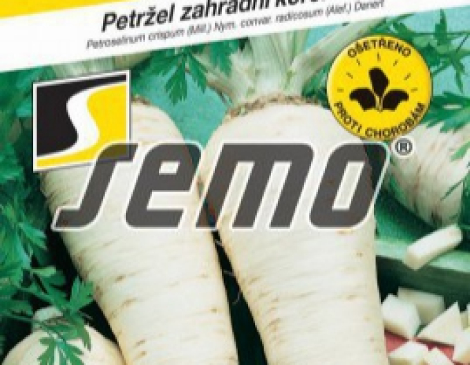 Semo Petržel zahradní kořenový ´Jadran´