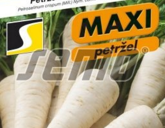 Semo Petržel zahradní - kořenová ´Troja´
