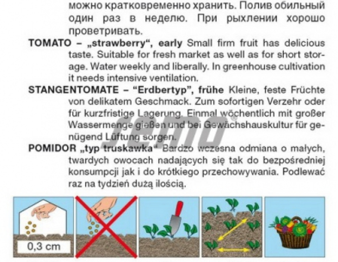 Semo Rajče tyčkové Jahodo
