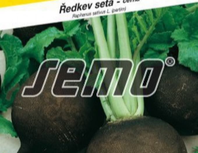 Semo Ředkev setá Panter