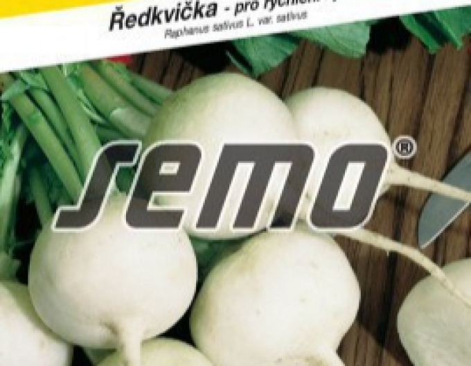 Semo Ředkev séta  Blanka