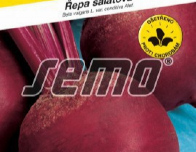 Semo Řepa salátová  ´Betina´