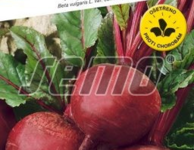 Semo Řepa salátová  ´Bikores´