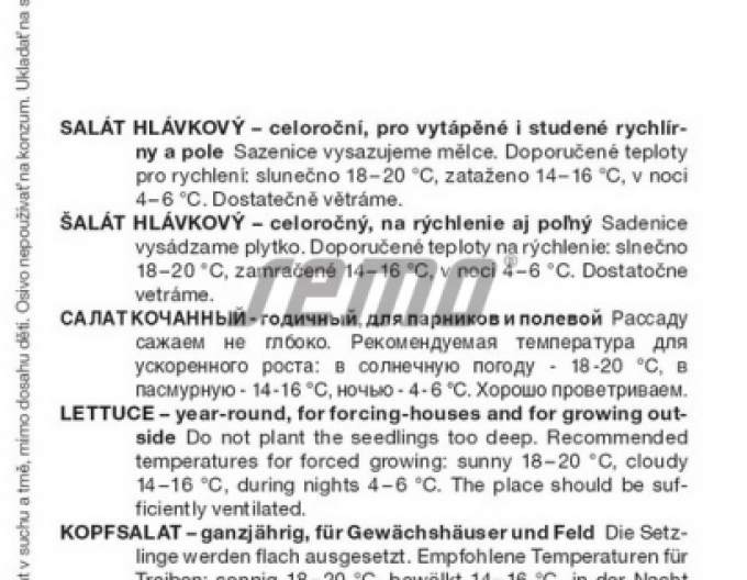 Semo Salát hlávkový ´Kamenex´