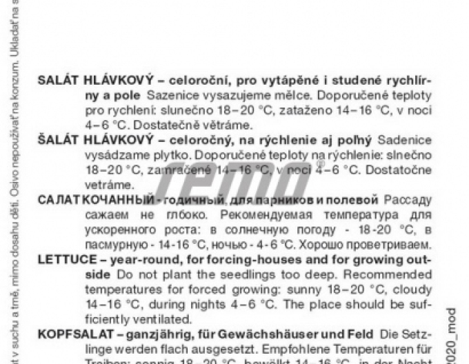 Semo Salát hlávkový Smaragdus