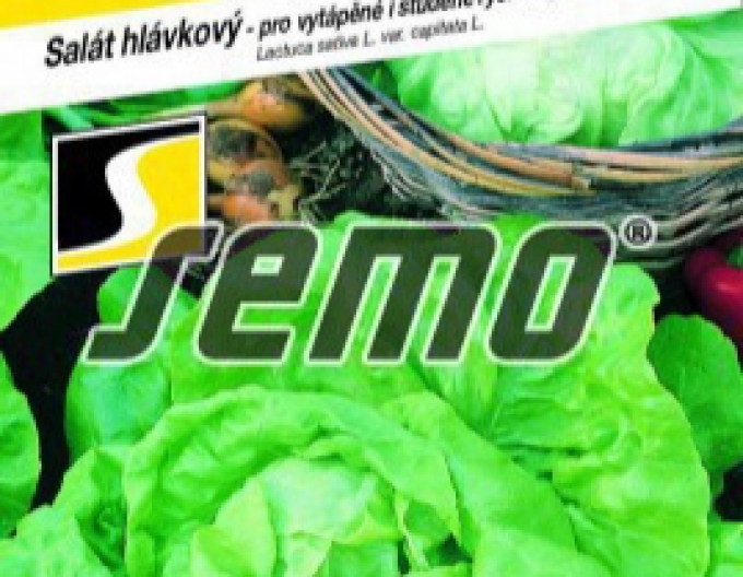 Salát ze semen pro urychlení ´Neferin´