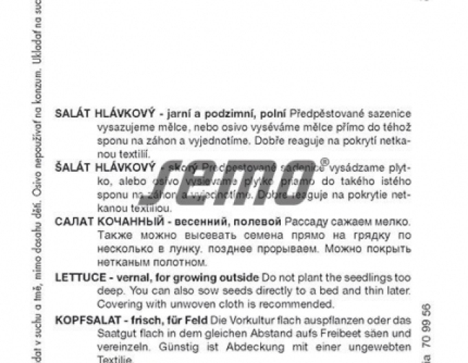 Semo Salát hlávkový Major