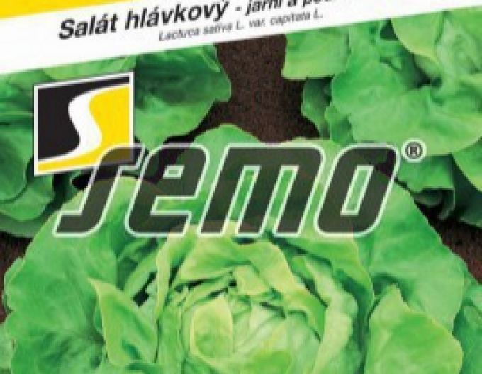 Semo Hlávkový salát ´Deon´