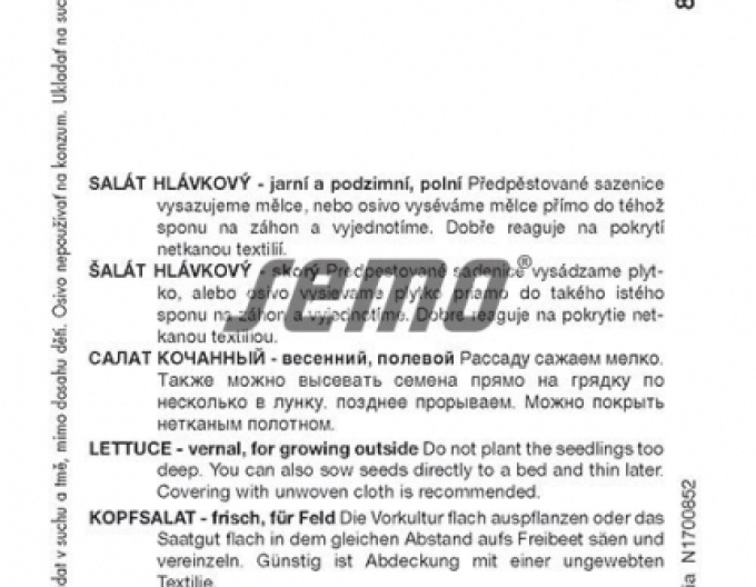 Semo Hlávkový salát ´Faraon´