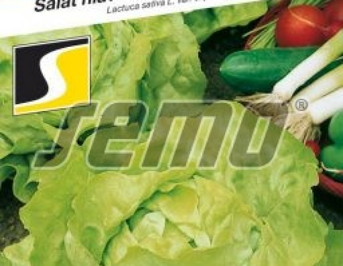 Semo Hlávkový salát ´Maraton´