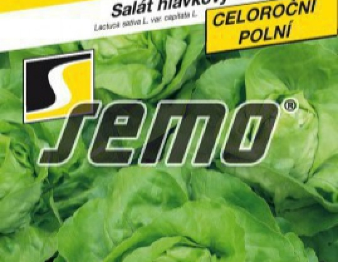 Semo Hlávkový salát ´Merkurion´