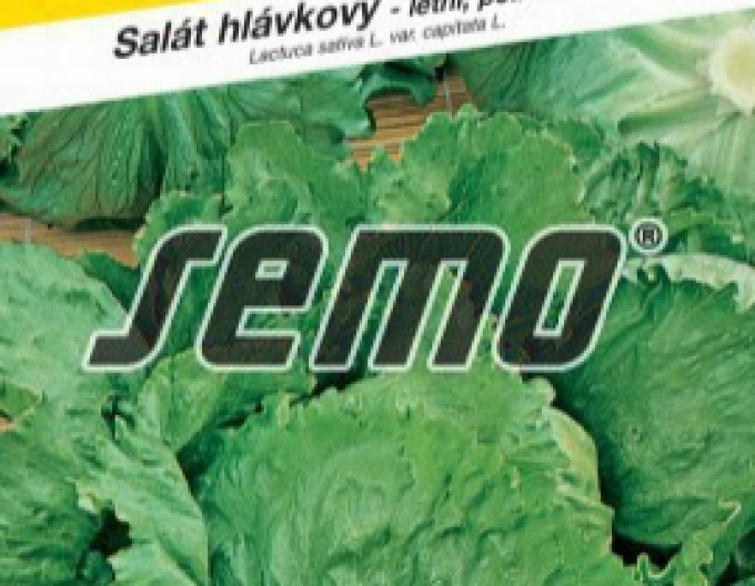 Semo Letní salát Pražan