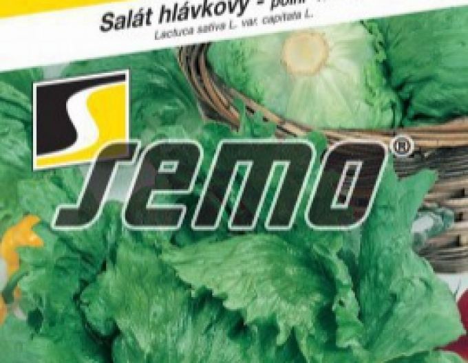 Semo Letní salát ´Maximo´