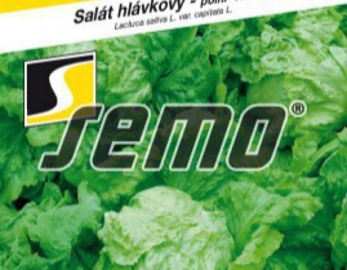 Semo Letní salát ´Ledano´