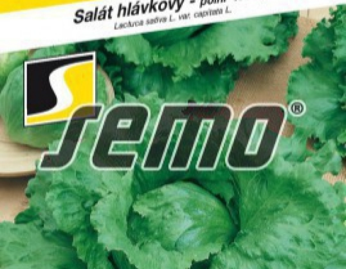 Semo Letní salát ´Medimo´