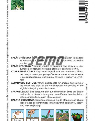 Semo Salát chřestový ´Celtuce´