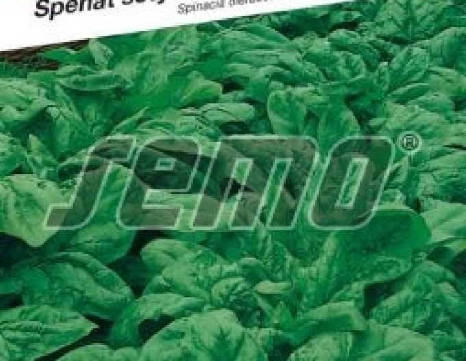 Semo Špenát setý ´Winterriesen´