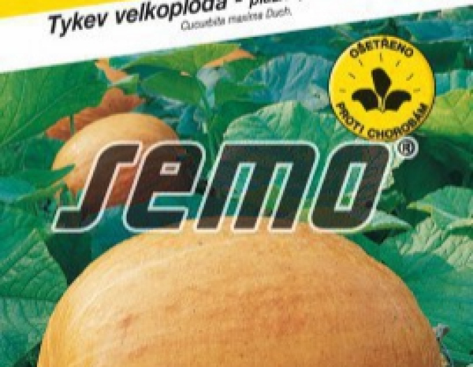 Semo Tykev velkoplodá - plazivá Goliáš